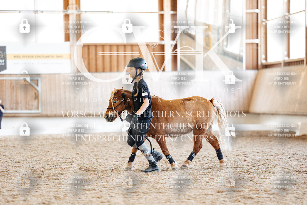 CK906999 | Turnierfotografie Pferdefotografie Trier Rheinland-Pfalz Pferdesport Reitsport Tierfotografie Sportfotografie Pferdevideo Pferdevideografie Equestrianvideography equestrianphotography  - Realisiert mit Pictrs.com