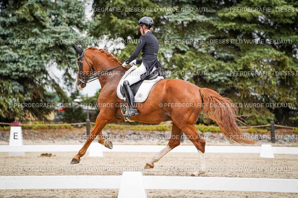 DSC05761 | Pferdegrafie