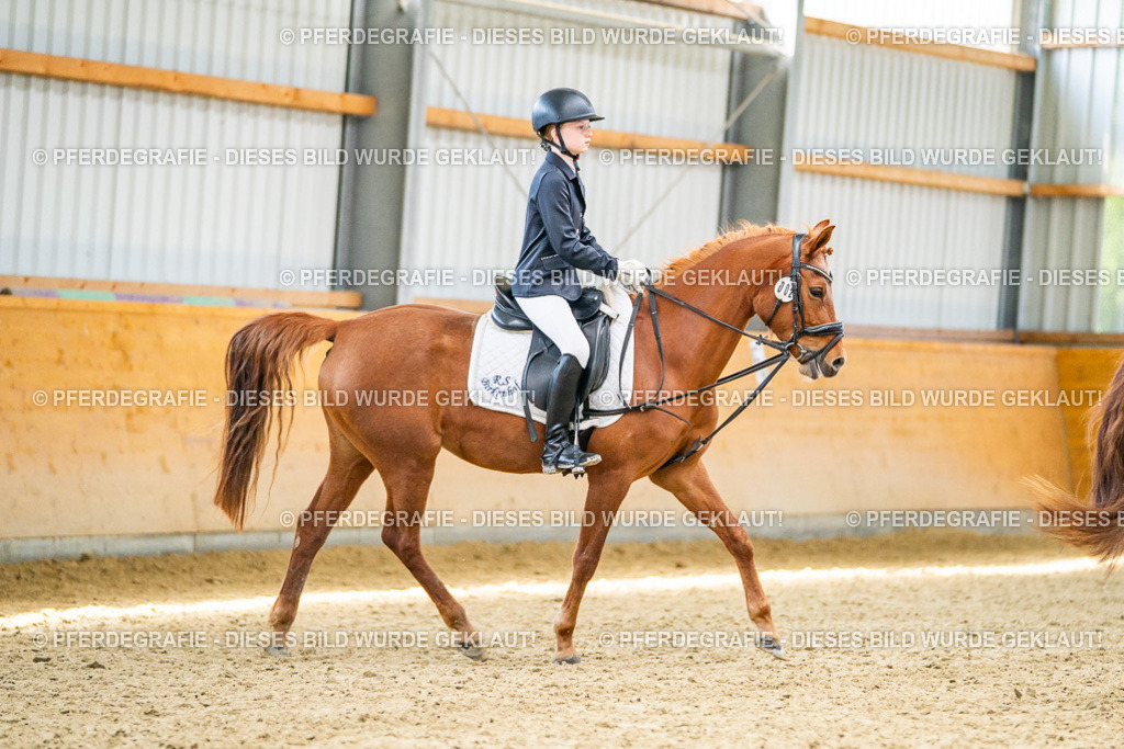 DSC03185 | Pferdegrafie