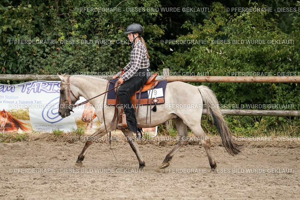 DSC09906 | Pferdegrafie