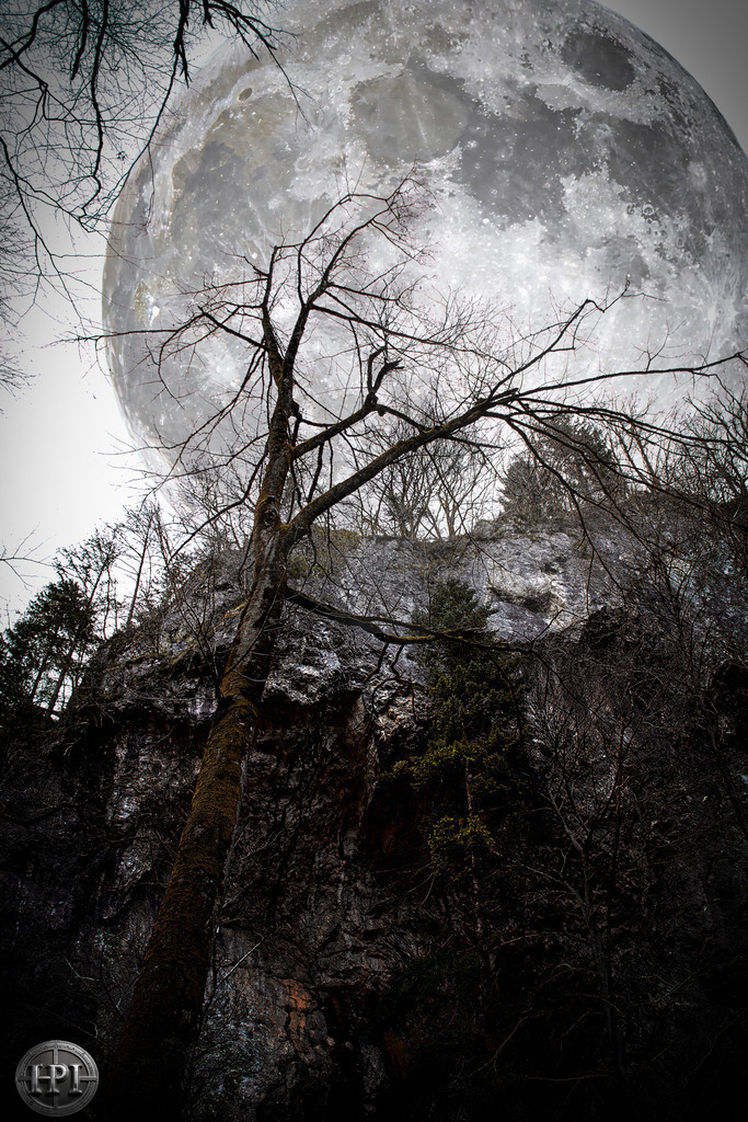 New Moon | Holzisphotography, Landschaftsfotografie, Wildlifefotogorafie - Realisiert mit Pictrs.com