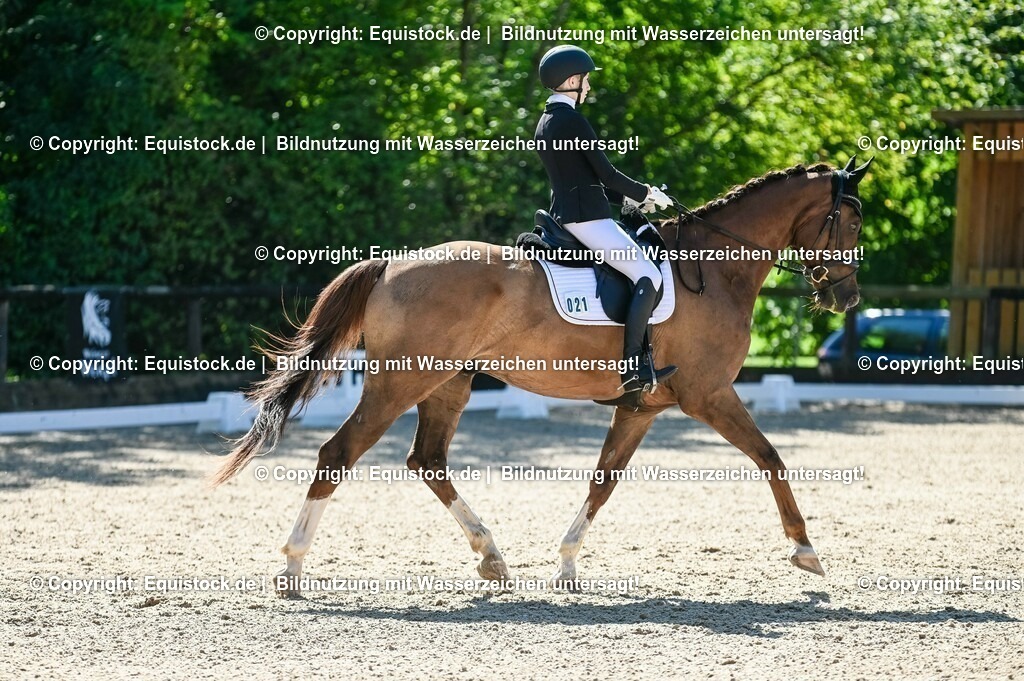 20230908_06_Dressur-L-Trense_0264 | equistock