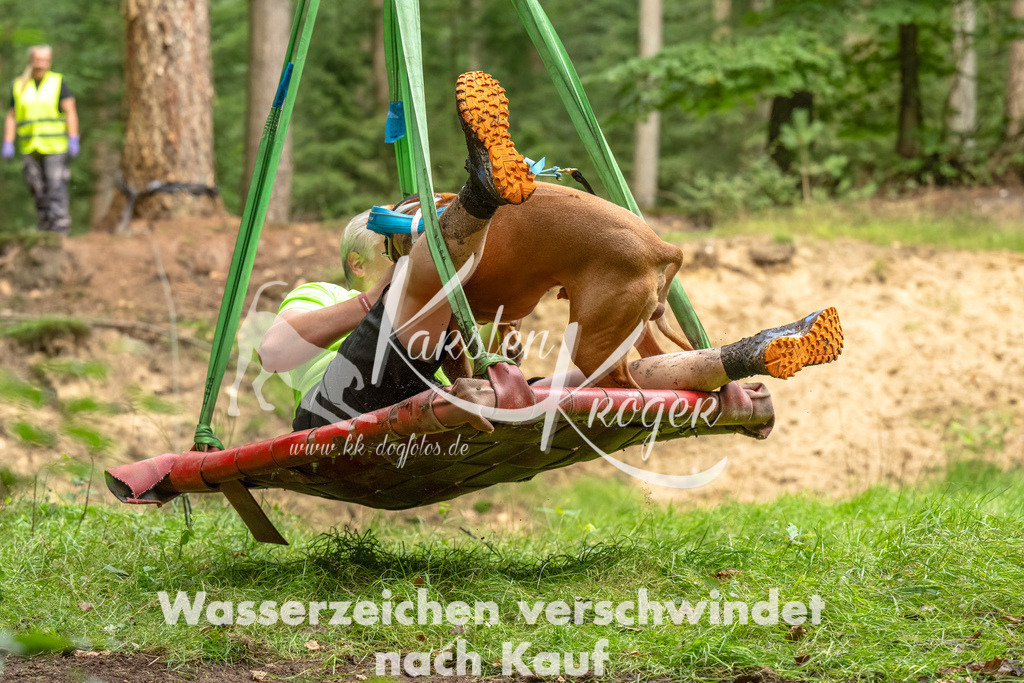 1330_ZZ93085-Bearbeitet | kk-dogfotos