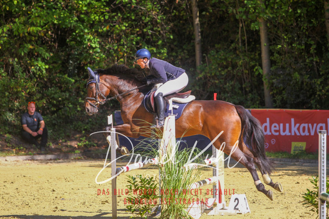 DKP43062 | Turniersportfotografie; Pferdefotografie; Dressurfotografie