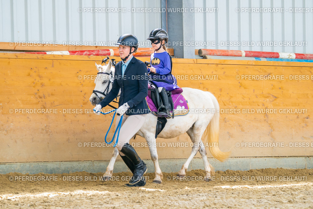 DSC09975 | Pferdegrafie