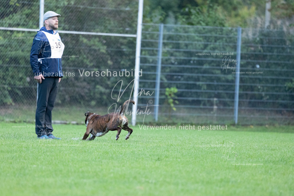 _16A4539 | Einzigartige Fotos von Hunden & Menschen –Actionfotos, Portraits, Vereinsaufnahmen & Paarshootings – authentisch, lebendig & mit Herz.