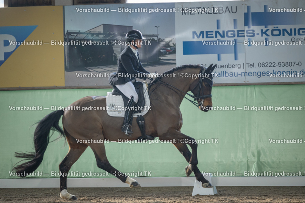 _D5A4404 | Emotionale Pferde- & People-Fotografie rund um Heidelberg, Leimen & Umgebung. Natürliche Fotos von Pferd, Mensch & Familie. Jetzt Termin sichern!