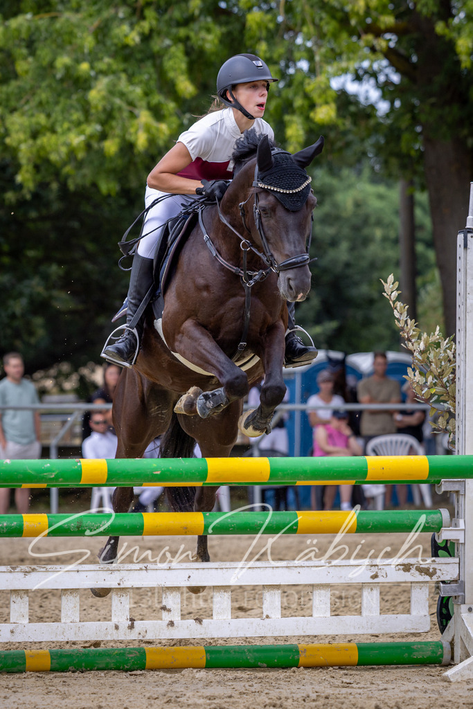 20260704-_3LI0788 | Tierfotografie Pferde, Hunde, Katzen, Haustiere.
Turnierfotografie Reitturniere, Reiten, Springreiten, Dressur in Hanau, dem Main-Kinzig-Kreis und dem Rhein-Main- Gebiet um Frankfurt