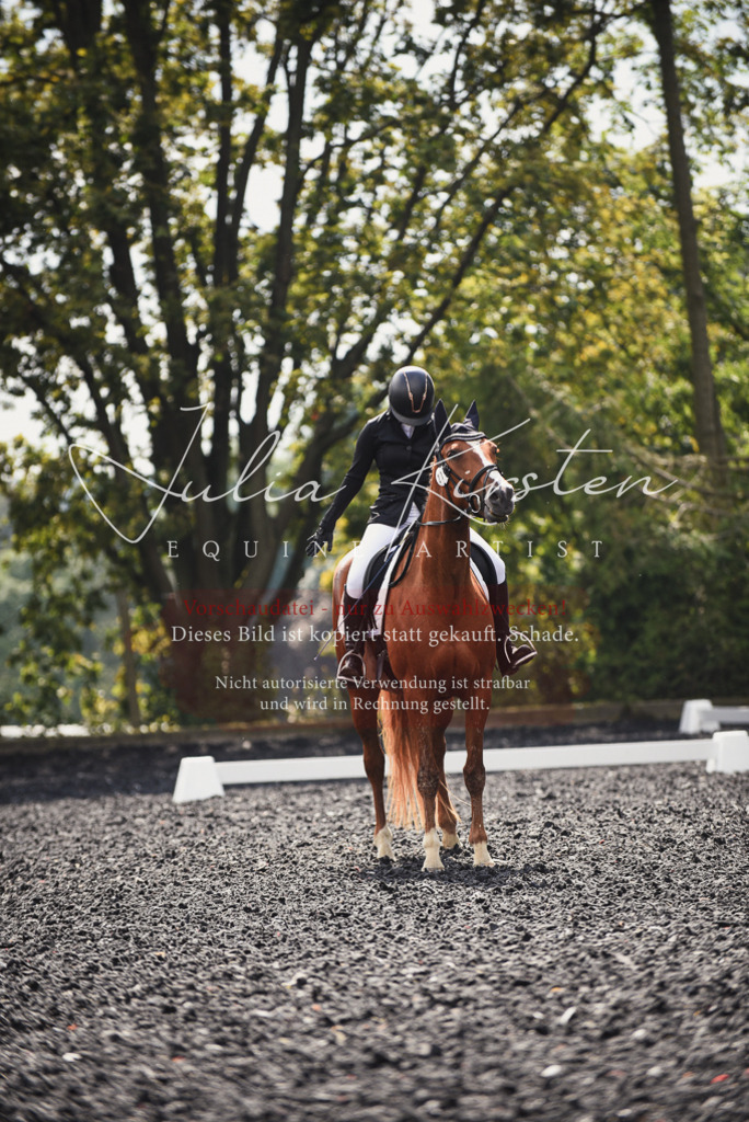 DSC_3877 | Pferde- und Turnierfotografie in Westsachsen. Pferdeportraits, Auftragszeichnungen und intuitive Kunst.