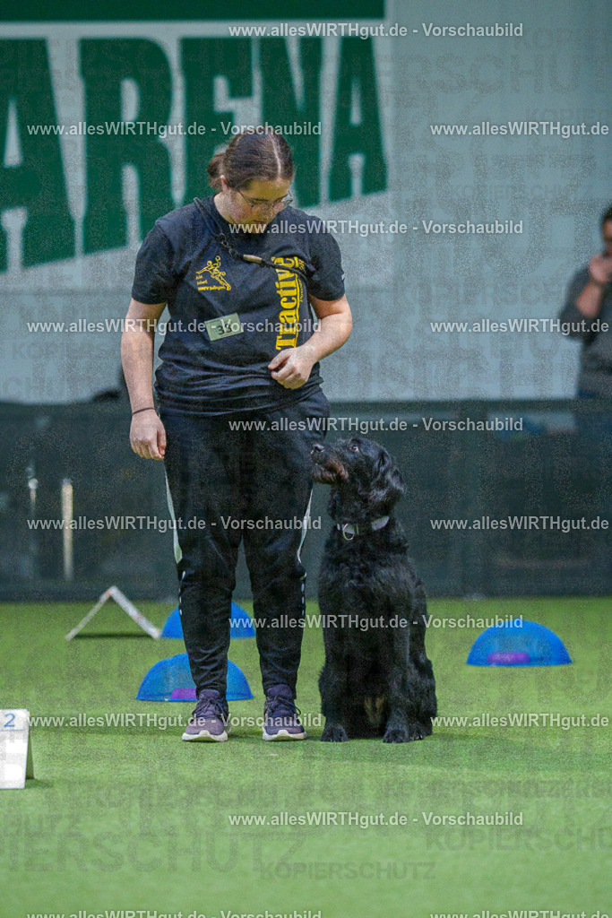 7R501139 | Professionelle Tierfotografie in Mönchengladbach von Daniel Wirth (allesWIRTHgut). Liebevolle & natürliche Bilder von Hunden & Katzen für unvergessliche Erinnerungen.