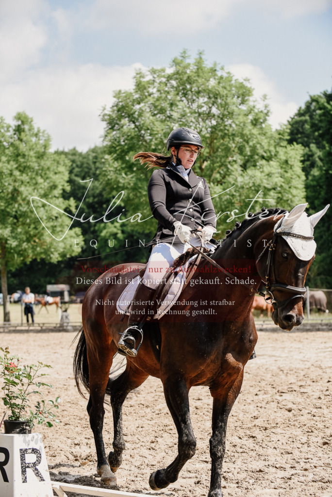 DSC_1067 | Pferde- und Turnierfotografie in Westsachsen. Pferdeportraits, Auftragszeichnungen und intuitive Kunst.