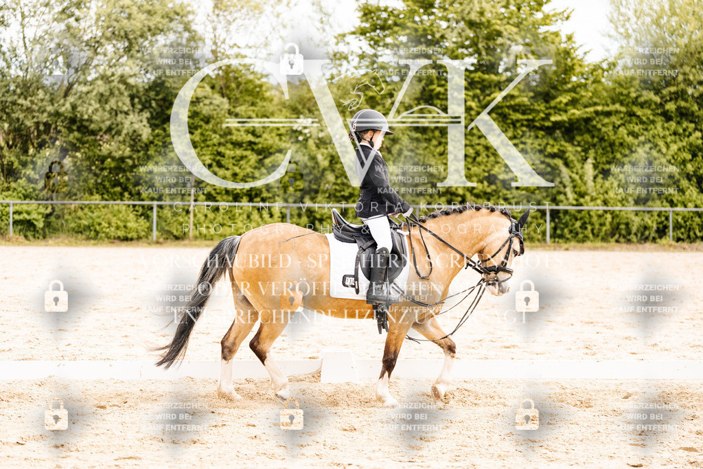 CK904475 | Turnierfotografie Pferdefotografie Trier Rheinland-Pfalz Pferdesport Reitsport Tierfotografie Sportfotografie Pferdevideo Pferdevideografie Equestrianvideography equestrianphotography  - Realisiert mit Pictrs.com