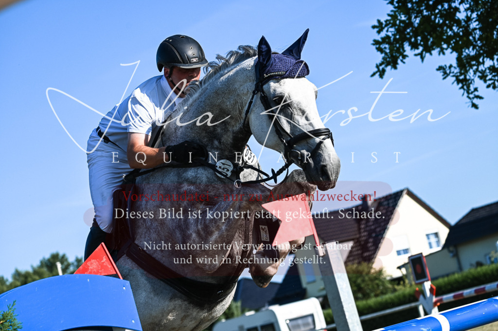 DSC_2830 | Pferde- und Turnierfotografie in Westsachsen. Pferdeportraits, Auftragszeichnungen und intuitive Kunst.