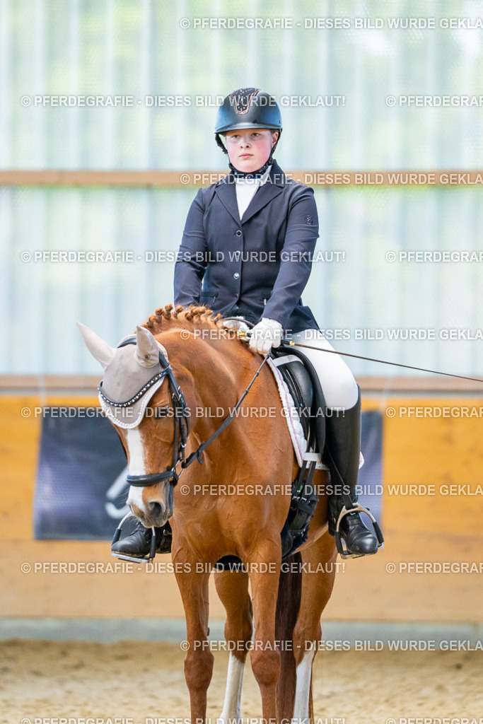 DSC07704 | Pferdegrafie