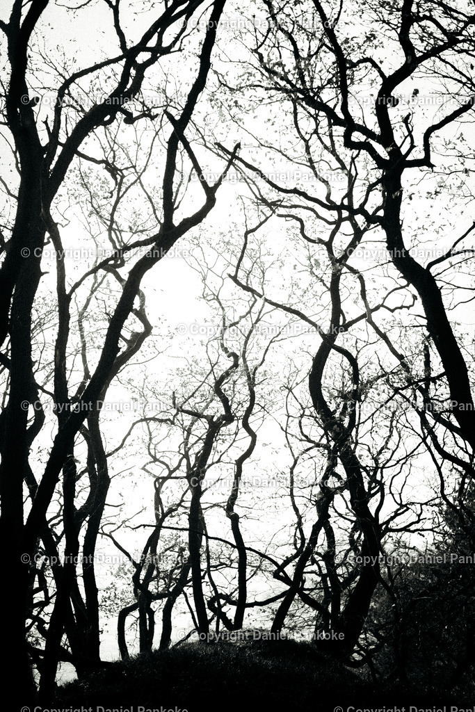 Portfolio Bike Golf Landschaft (43 von 47) | dp-photography - Realisiert mit Pictrs.com