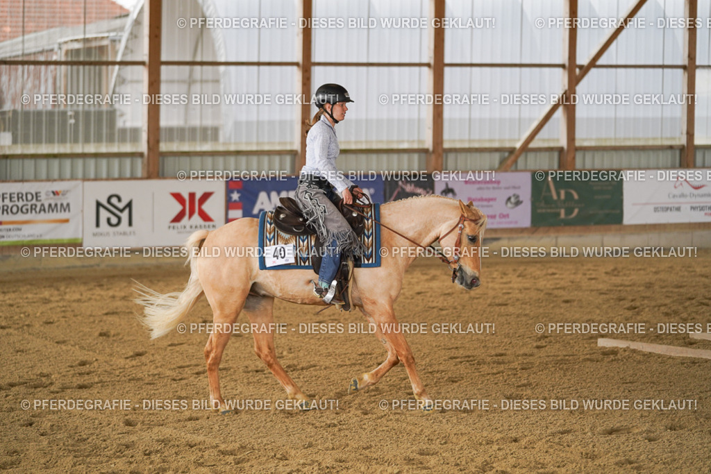 DSC03519 | Pferdegrafie