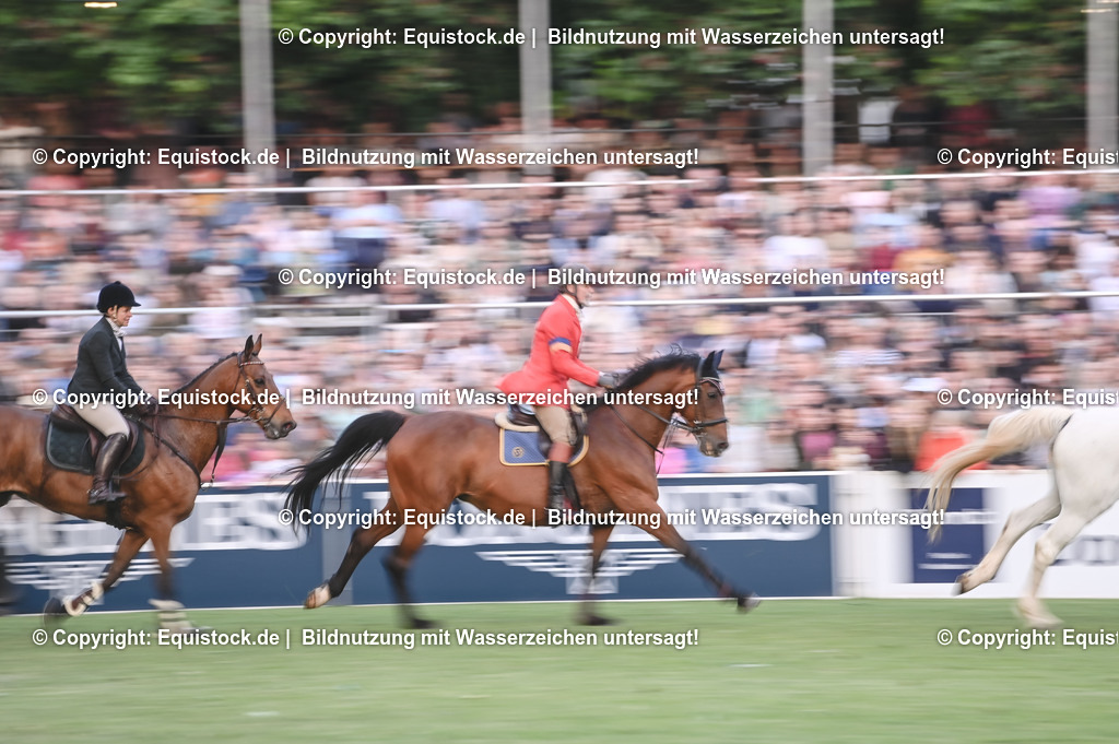 20230526_Pferdenacht_0664 | equistock