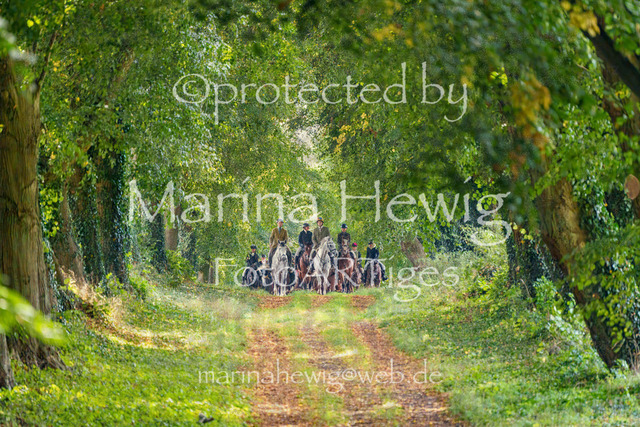 Jagd Perdoel_MarinaHewigMCH04992 | Fotografie, FotoArt, PferdesportArt, Pferdesportfotografie, Landschaftsfotografie, Reisefotografie, Reise, Pferde - Realisiert mit Pictrs.com