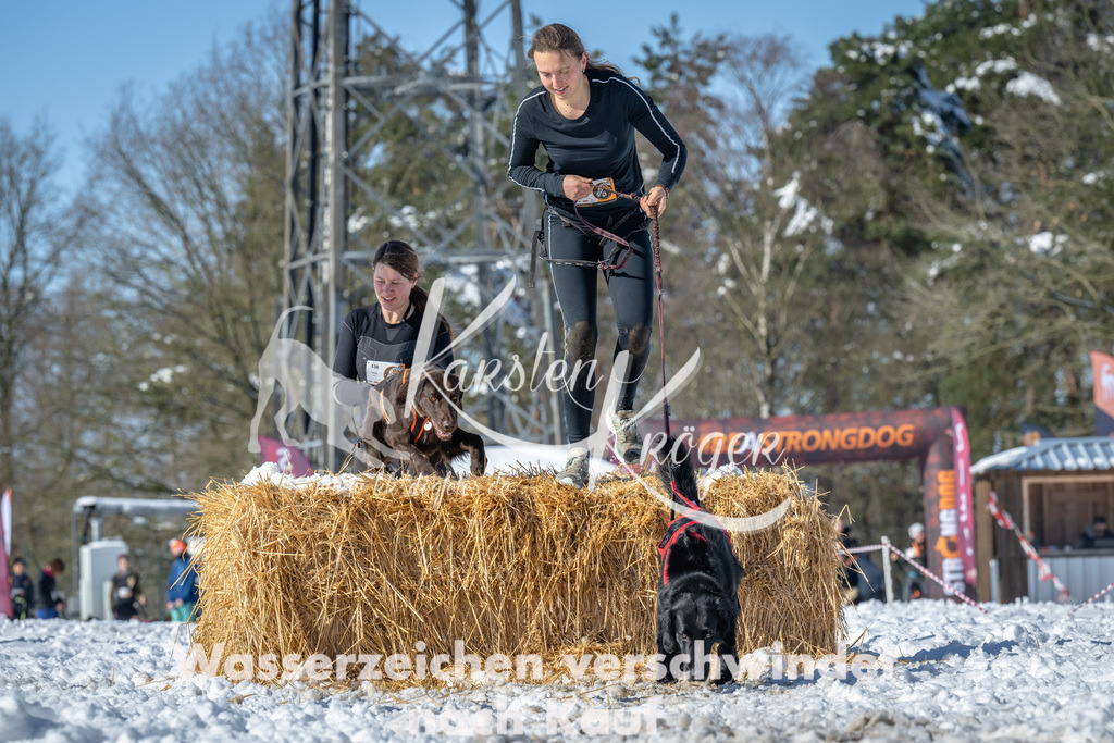 1137_ZZ90444-4 | kk-dogfotos