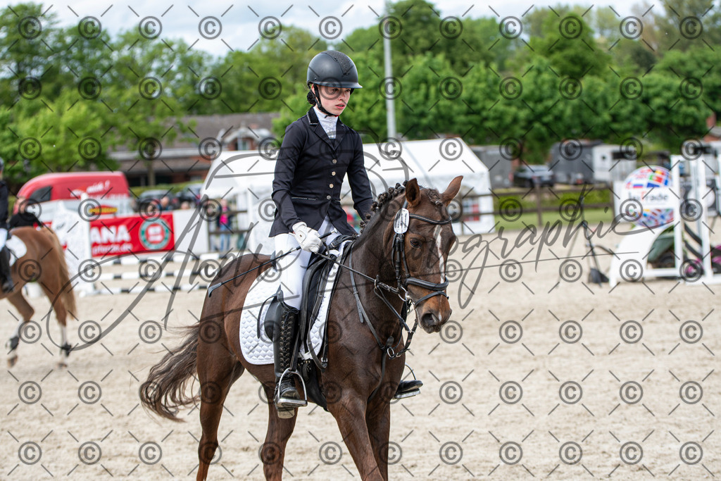 KPT_6015 | andre_photographic