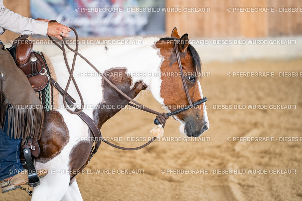 DSC02285 | Pferdegrafie