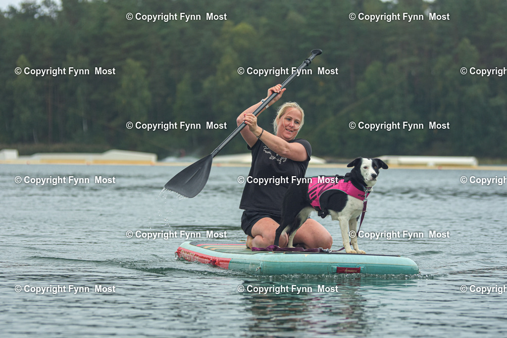 DSC_0638 | Hallo und herzlich Willkommen auf meiner Shop-Seite Fynn Most.

Ich wünsche Dir viel Spaß beim stöbern durch die Bilder, wenn Du Fragen hast oder Bilder vermisst, kannst du mir gerne eine Nachricht schreiben. - Realisiert mit Pictrs.com