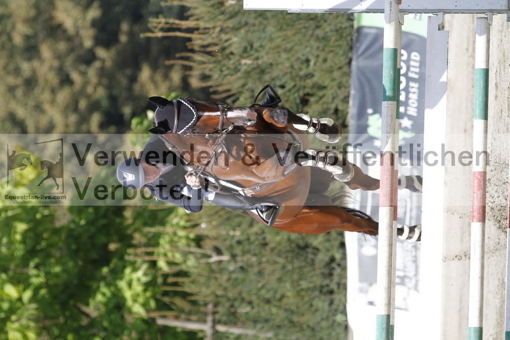 _MG_5536 | equestrian-live-com