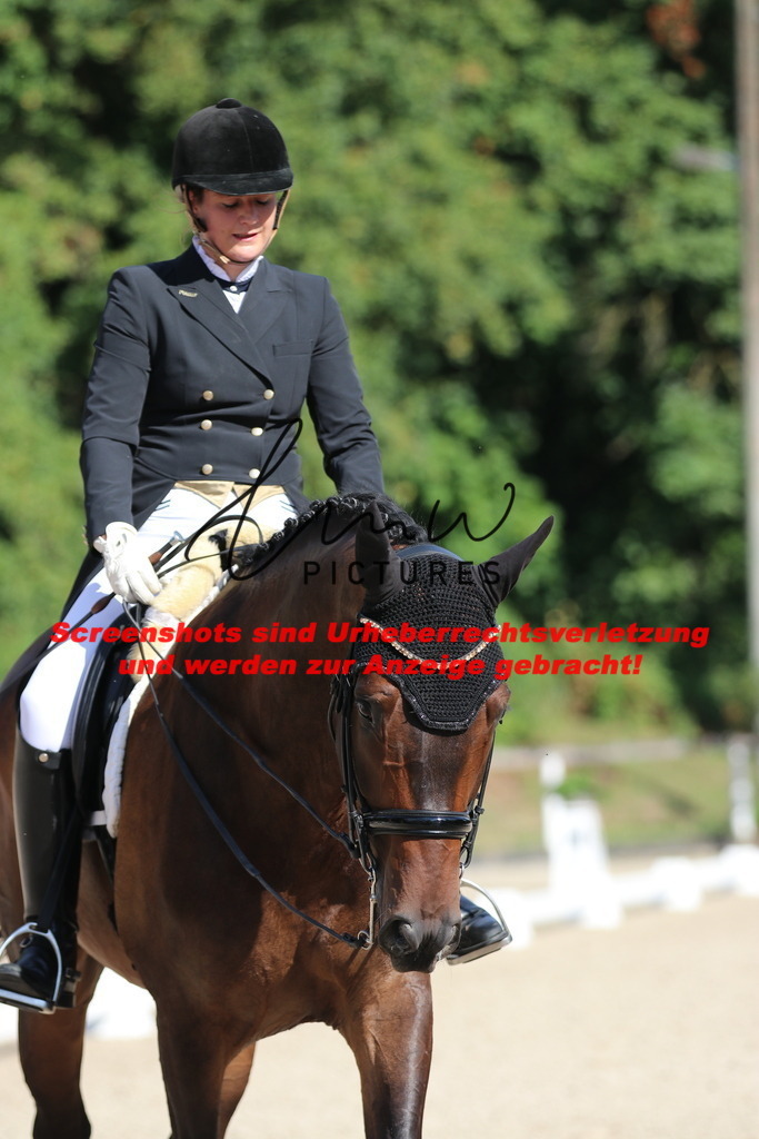 IMG_1187 | lmwpictures - Realisiert mit Pictrs.com