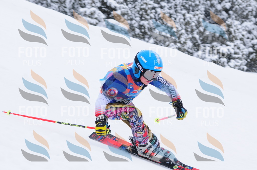 C4091 | holidayphoto