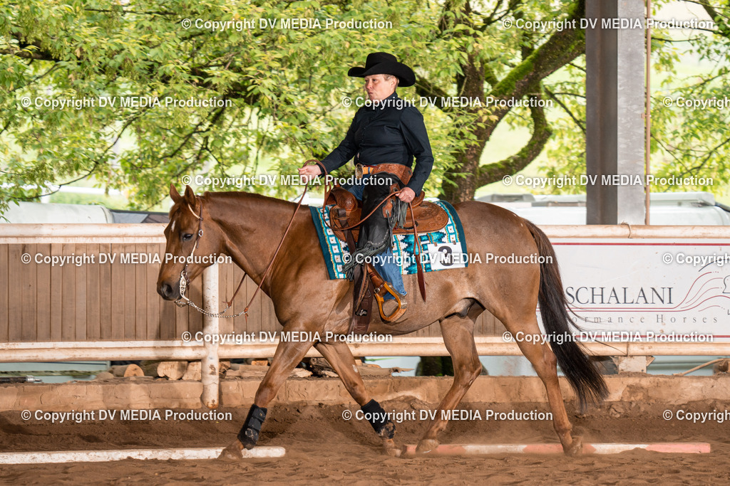 Erbach Tag 2-583 | dv-media-shop - Realisiert mit Pictrs.com