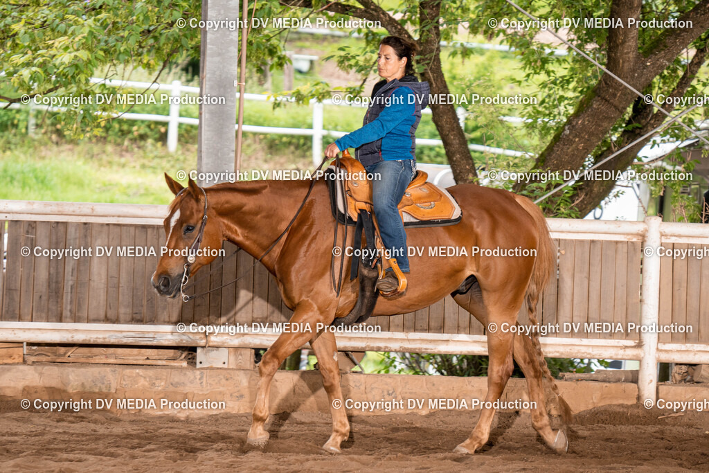 Erbach Tag 1-4 | dv-media-shop - Realisiert mit Pictrs.com