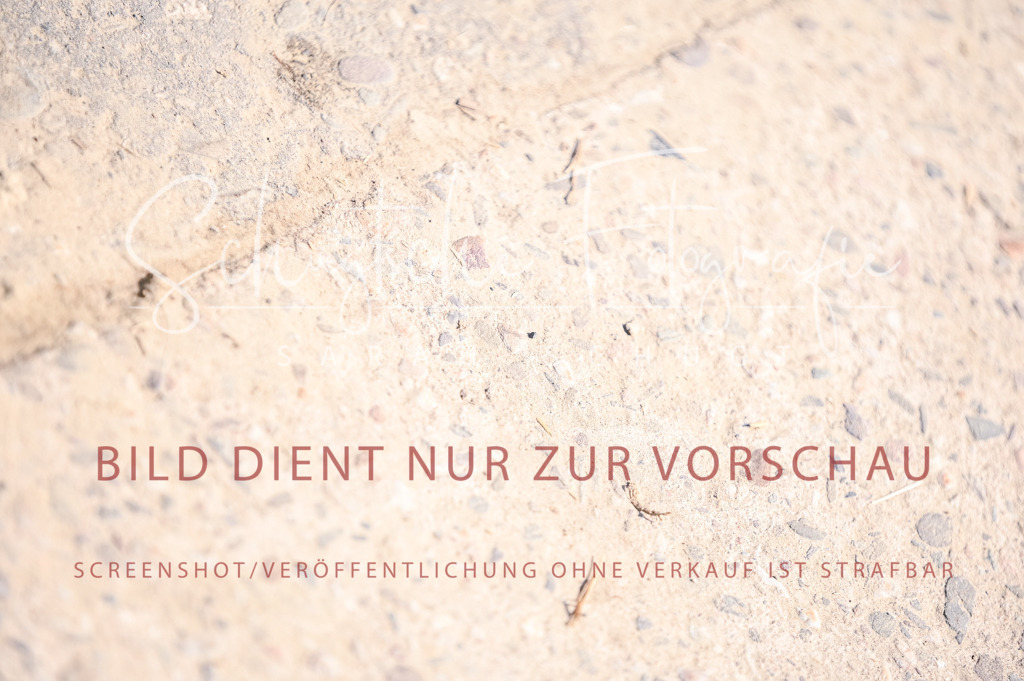 Schugtsche-Aluta25-52.Dressurprf.M2Kand-324 | Schugtsche Fotografie - Realizzato con Pictrs.com