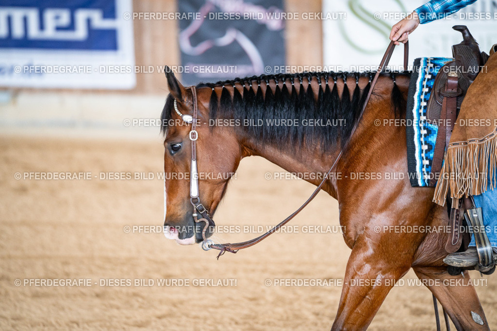 DSC08163 | Pferdegrafie