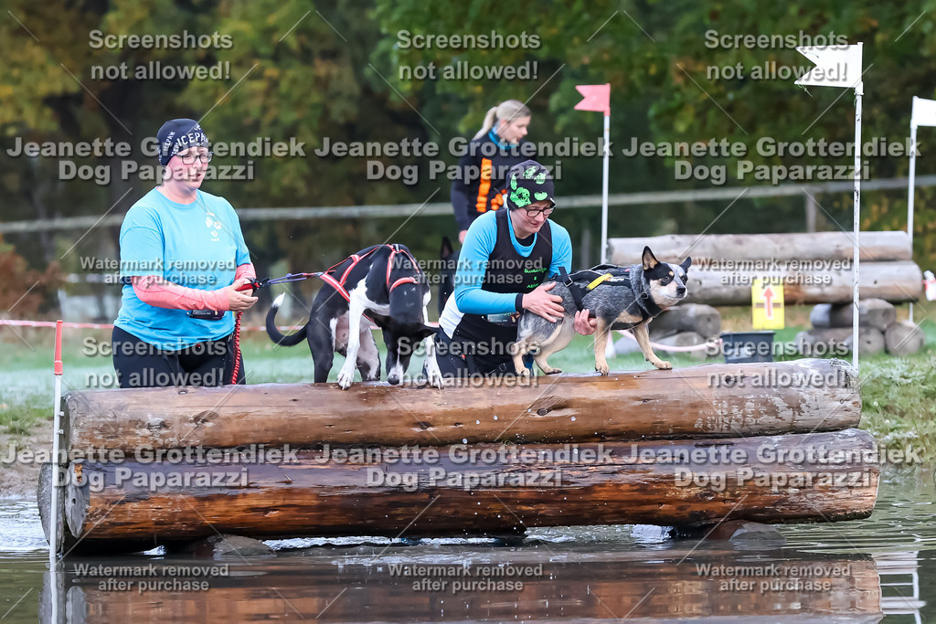 Dog Paparazzi - Strongdog 10-25-6246 | Dog Paparazzi Jeanette Grottendiek Fotografie & Videografie - Realisiert mit Pictrs.com