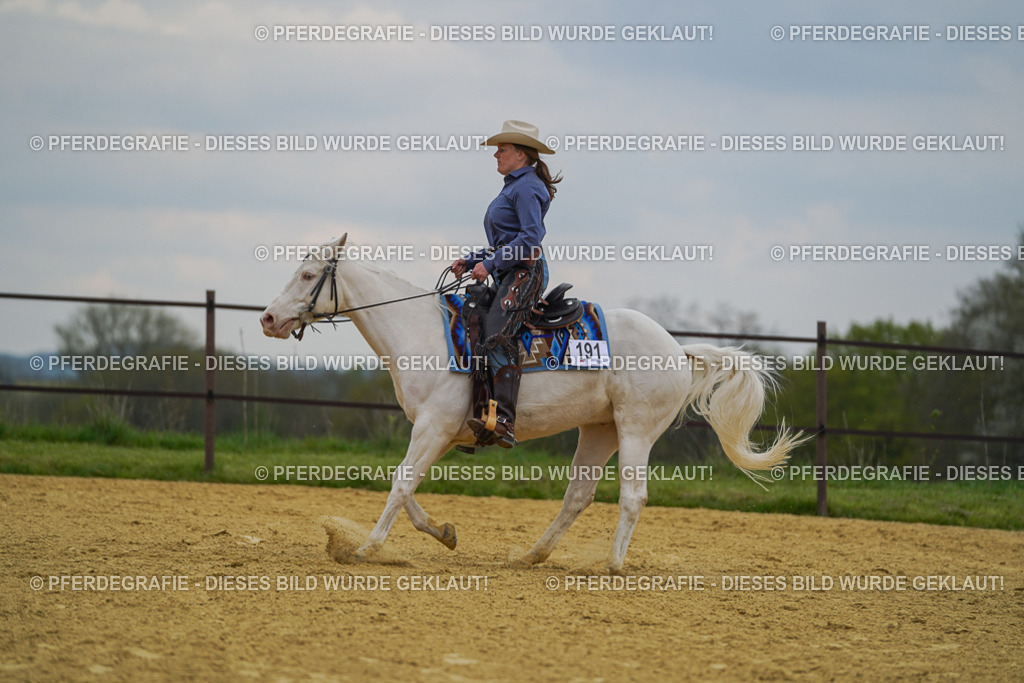 DSC07511 | Pferdegrafie