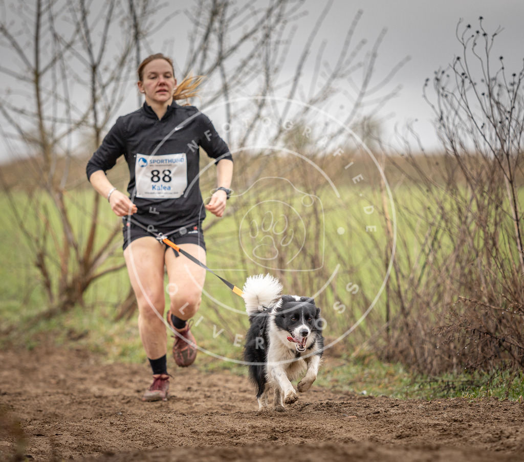 DV3A9950 | Hundefotografie, Tierfotograf, Pfotenfotografie, Fotoshooting Hund, Hunde Portrait, Hundesport, Hundeportraits, Heideshooting, Hunde, Sportfotograf, Hundefotograf, Turnierhundsport, THS,  - Realisiert mit Pictrs.com