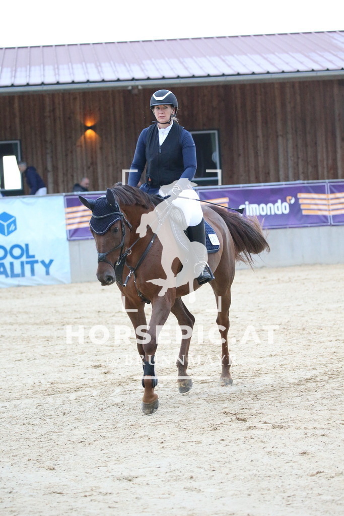 DL2Q6567 | Willkommen bei Brunnmayr - Design & Fotografie – Ihrem Spezialisten für Reitturniere und Pferdeveranstaltungen in Oberösterreich, Salzburg und Bayern! Seit über 17 Jahren sind wir leidenschaftlich dabei.