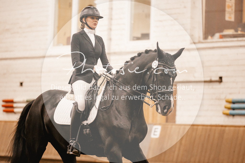 3I6A3271 | Stimmungsvolle Portraits und Reitsportfotografie im Ruhrgebiet und im Münsterland.

Pferdefotografie, Hundefotografie, Tierfotografie, Reportagen, Portraits von Tier und Mensch, Turnierfotografie in Bochum, Recklinghausen, Marl, Haltern am See, Dülmen.. - Realisiert mit Pictrs.com