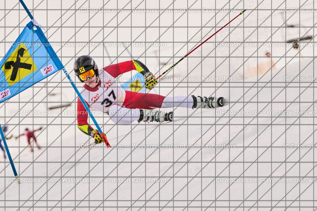 ALP8104_Herrn-FIS-GS-I_Lackenhof-WY_Gstrein Niklas | Internationaler FIS GiantSlalom der Herrn auf der Distelpiste in Lackenhof am Mo 10. März 2025.  Österreich, LSV-NÖ, Sportunion Waidhofen/Ybbs (2035).