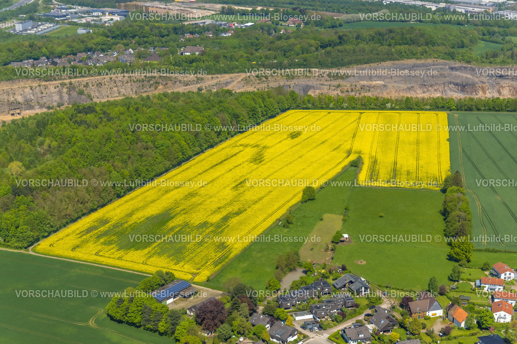Hagen230501890 | Luftbild, Rapsfelder am Steinbruch Donnerkuhle Hagen Halden, Emst, Hagen, Sauerland, Nordrhein-Westfalen, Deutschland