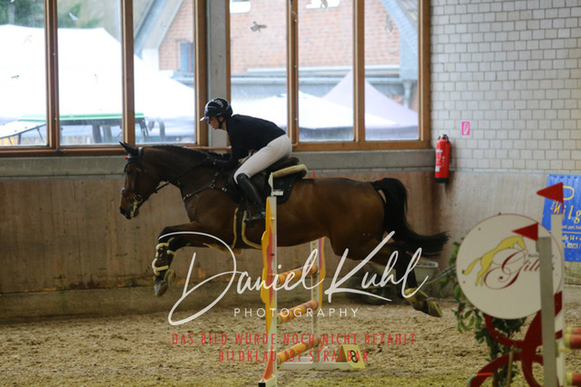 IMG_0860 | Deine Turnierfotos vom Reitturnier online kaufen: Dressur, Springen & Siegerehrung. Professionelle Pferdefotografie aus dem Rheinland – als Download & Print.Alternative: Turnierfotograf für den Pferdesport: Finde deine Fotos von Dressur- und Springturnier
