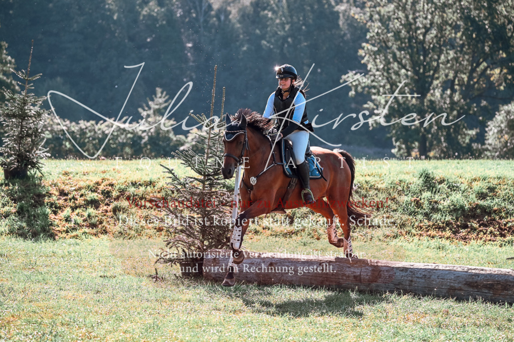 DSC_0726 | Pferde- und Turnierfotografie in Westsachsen. Pferdeportraits, Auftragszeichnungen und intuitive Kunst.