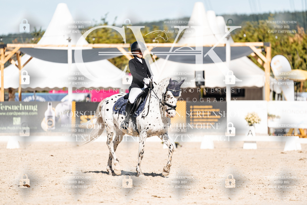 CK908596 | Turnierfotografie Pferdefotografie Trier Rheinland-Pfalz Pferdesport Reitsport Tierfotografie Sportfotografie Pferdevideo Pferdevideografie Equestrianvideography equestrianphotography  - Realisiert mit Pictrs.com