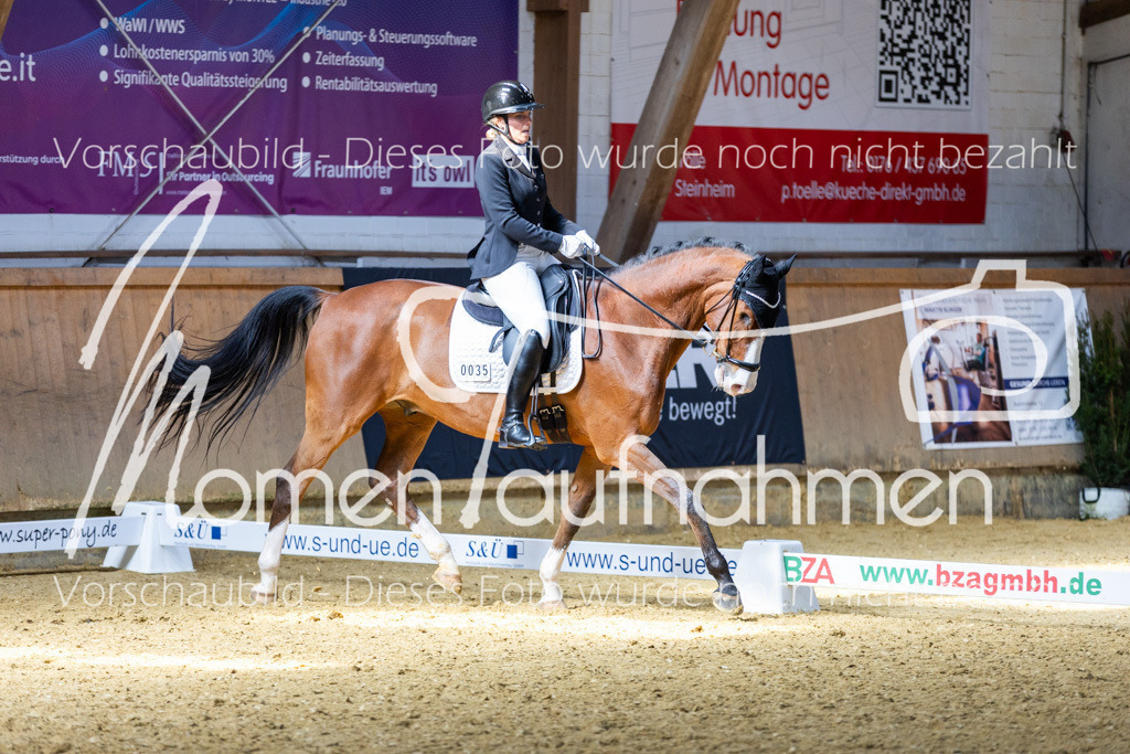 Sth-LPO25-DrR-L-214 | MomenTaufnahmen Pferdesportfotos