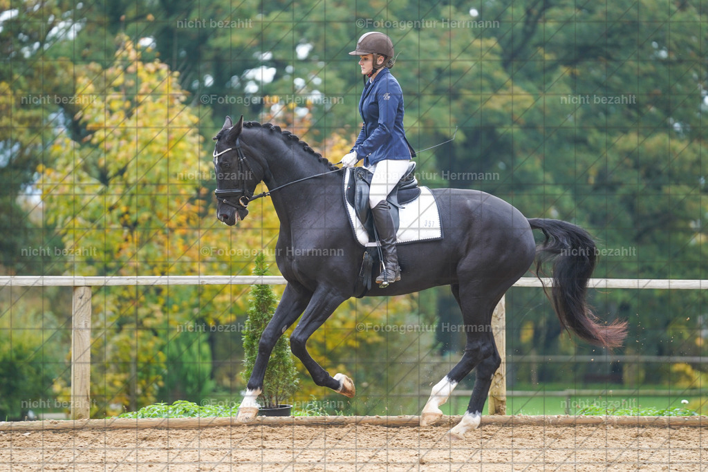 20221008-FAH01001 | Diessen am Ammersee, 2022, Dressur- und Springturnier, Reitsportbilder, Turnierfotografen Bayern, Pferdefotografen, Fotoagentur Herrmann, Turnierbilder