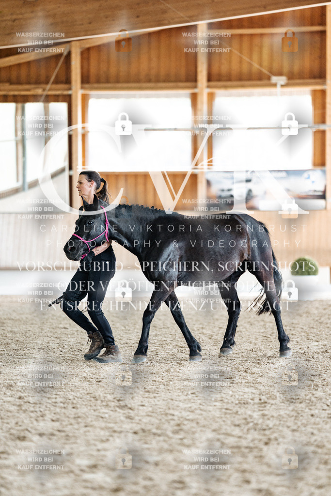 CK908316 | Turnierfotografie Pferdefotografie Trier Rheinland-Pfalz Pferdesport Reitsport Tierfotografie Sportfotografie Pferdevideo Pferdevideografie Equestrianvideography equestrianphotography  - Realisiert mit Pictrs.com