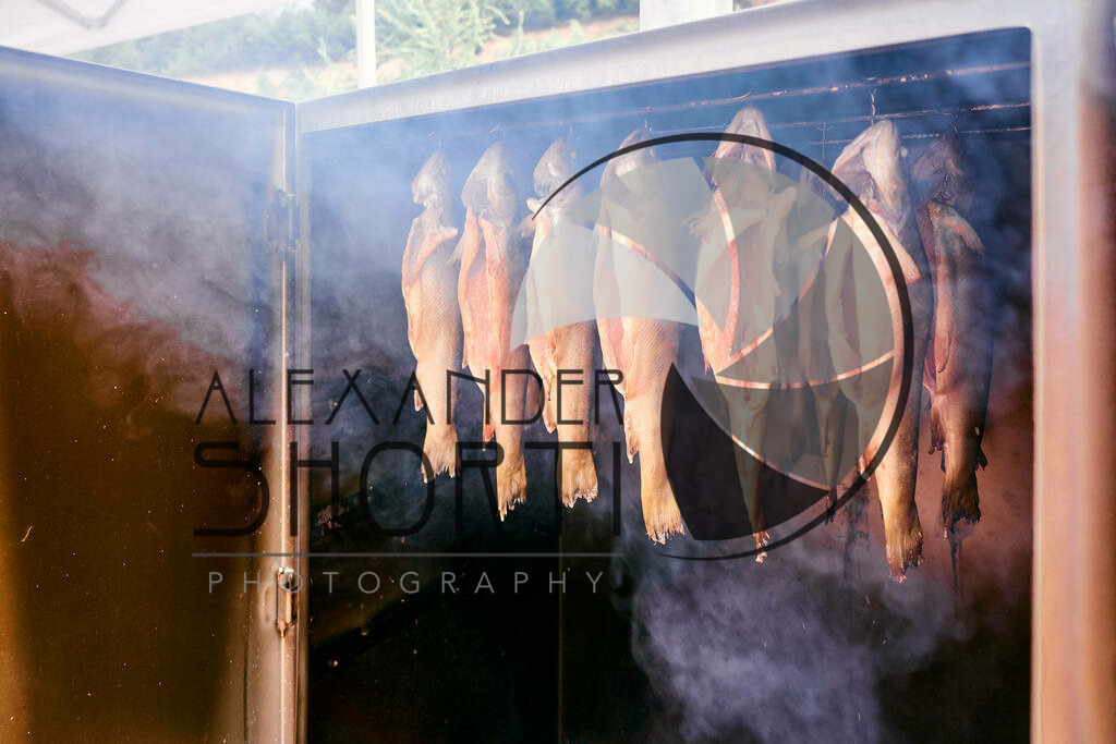 074_FoodRock_2023_04_Najib | alexandershorti - Realisiert mit Pictrs.com