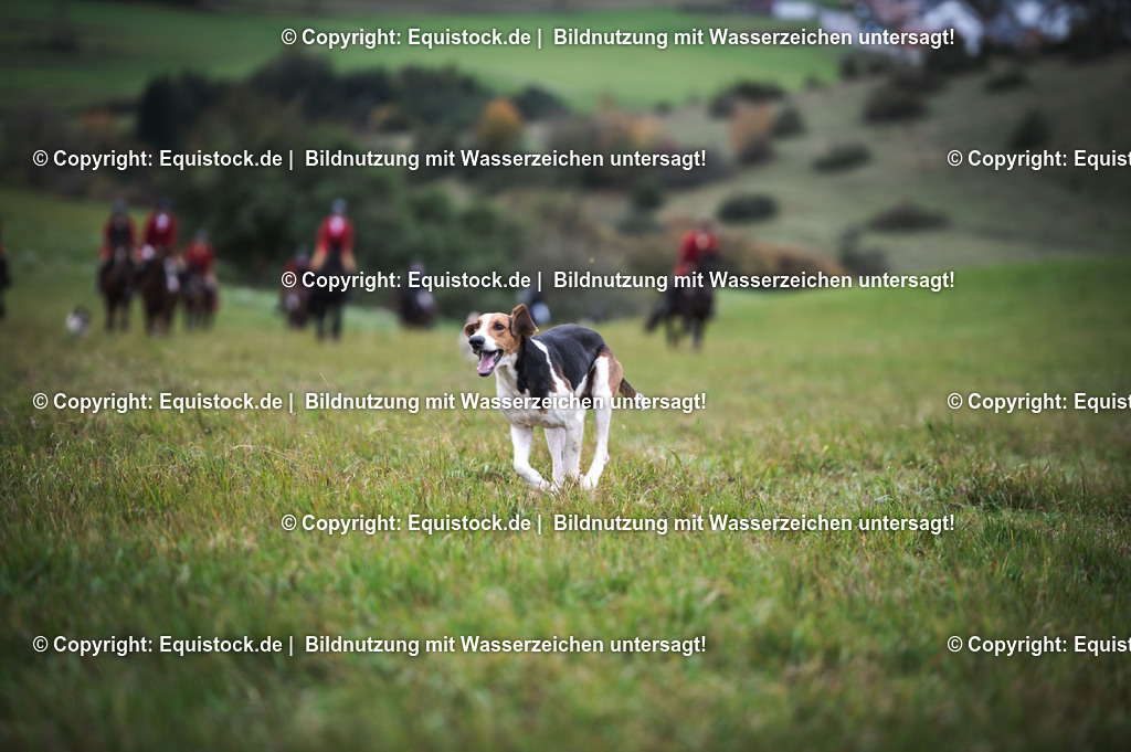 20241013_Jagd-Marbach_0212 | Foto: Thomas Hartig