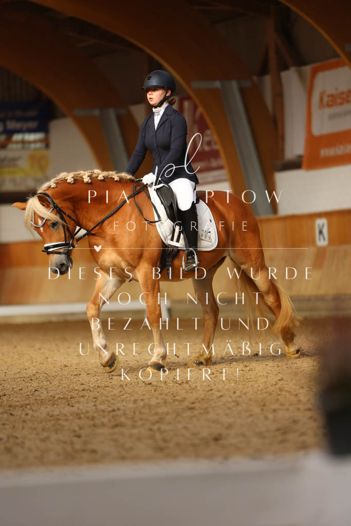 IMGM3758 | pl-fotografie