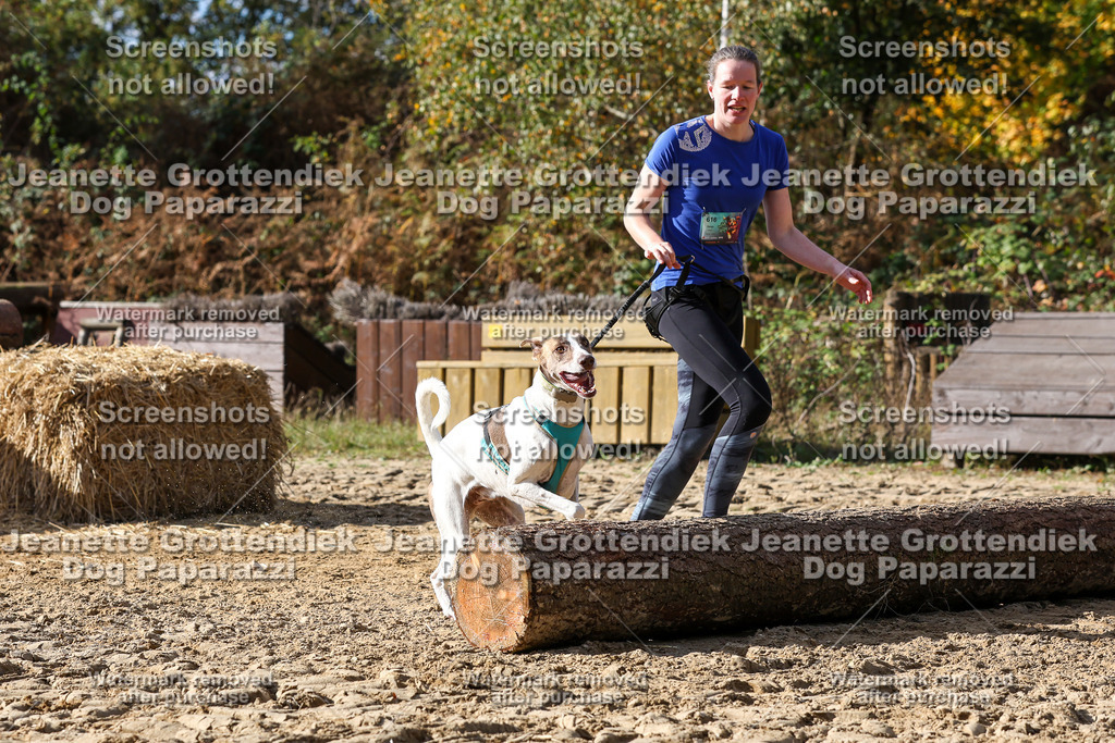 Dog Paparazzi - Strongdog 10-25-5484 | Dog Paparazzi Jeanette Grottendiek Fotografie & Videografie - Realisiert mit Pictrs.com